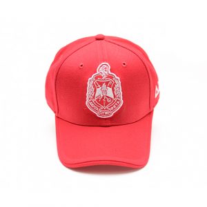 Red DST Logo cap
